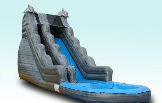 Waterslide Great for any party.  Experience a Dolphin Encounter this Summer! Great for any event, block party, children�s birthday party