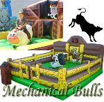 Chicago Mechanical Bull Rentals, Chicago Illinois